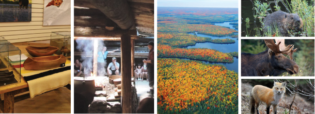 algonquinpark