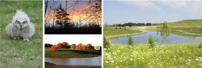 downsviewpark