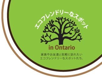 eco-friendly-spot_logo