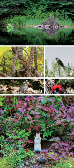 outdoorAdventure02_10