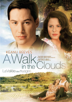 a-walk-in-the-cloud