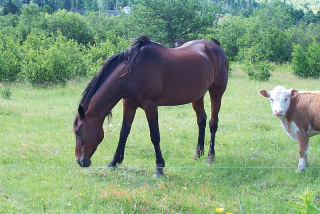 the-group-of-8-feb-2014-02