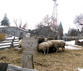 riverdale-farm-03