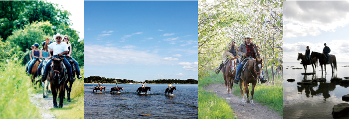 horseplayniagara