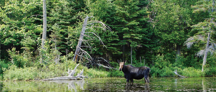 ontario-outdoor-adventures-12-01
