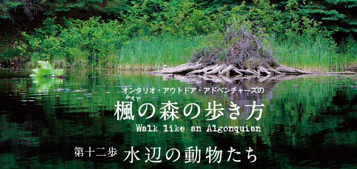 ontario-outdoor-adventures-title-12