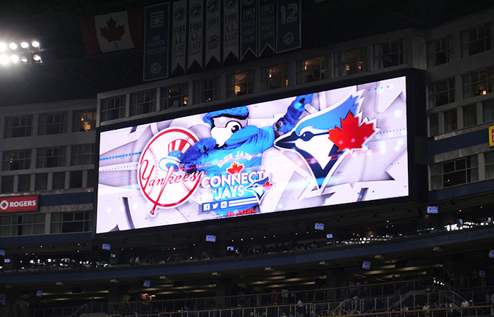 blue-jays-04