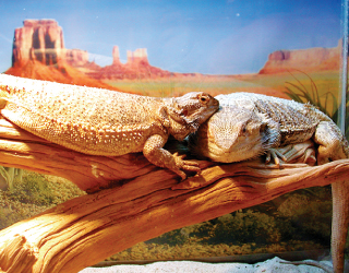 ikebata-nursery-school-35-01