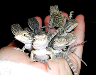 ikebata-nursery-school-35-03