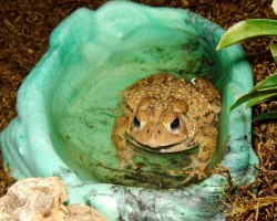 ikebata-nursery-school-36-01