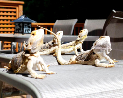 ikebata-nursery-school-36-02