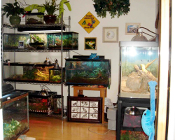 ikebata-nursery-school-36-03