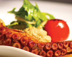 Grilled Moroccan Octopus