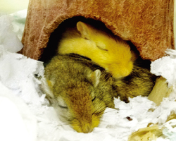 ikebata-nursery-school-37-01