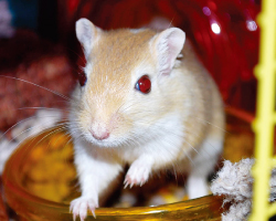 ikebata-nursery-school-37-02