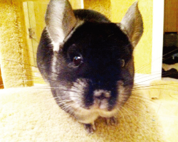 ikebata-nursery-school-37-03