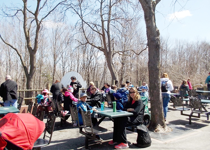 toronto-zoo-01