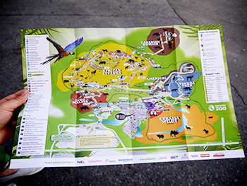 toronto-zoo-panda-02