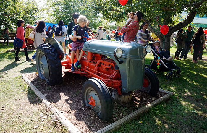 apple-picking-07