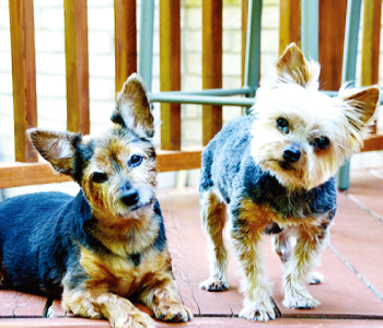 ikebata-nursery-school-38-02