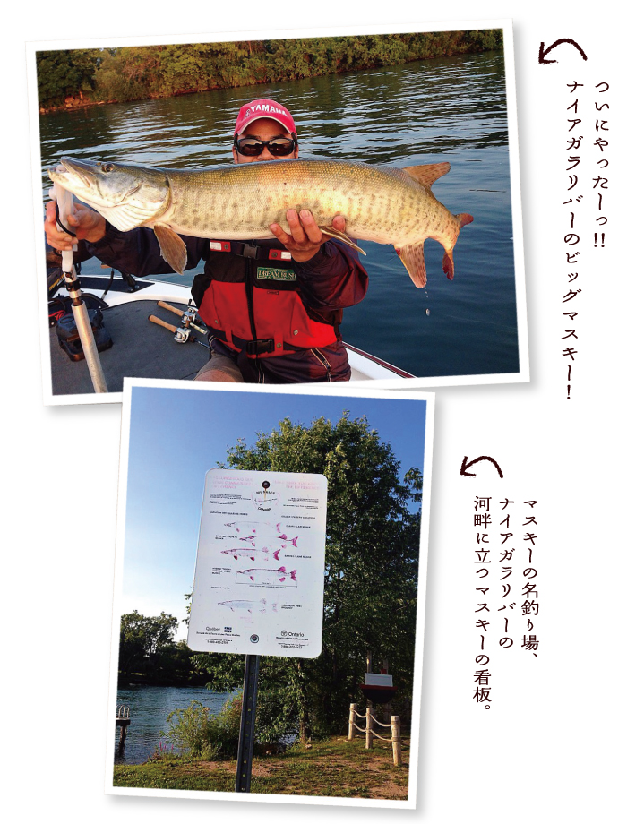 lurecaevers-fishing-diary-15