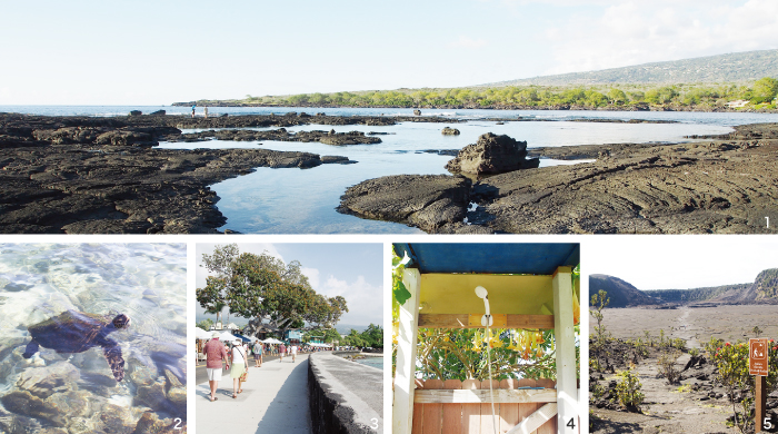 1. 一番よく行っていたBeach 2. 普通に泳いでいるウミガメさん 3. 月1のファーマーズマーケットat カイルア・コナ 4. 半屋外の小屋シャワー 5. ハワイ火山国立公園