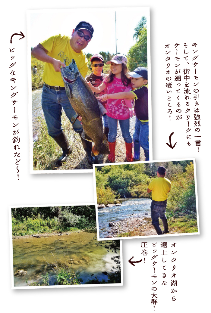 lurecaevers-fishing-diary-16