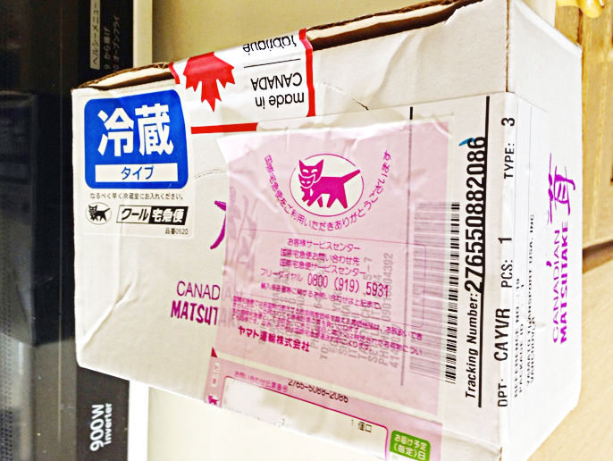 matsutake-02
