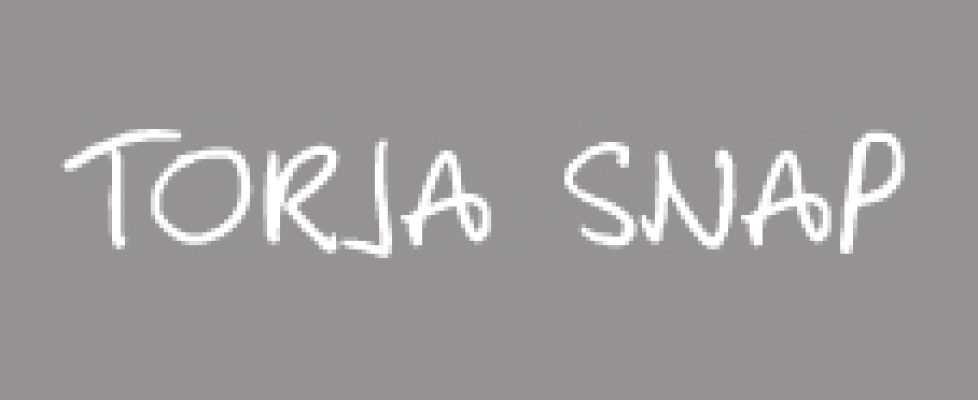torja-snap-logo