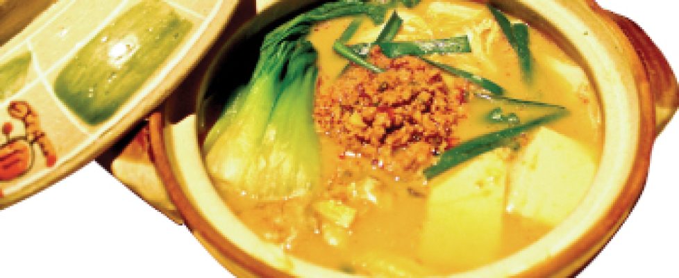 koyoi-pirikara-tonyunabe
