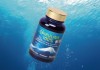 spirulina-05