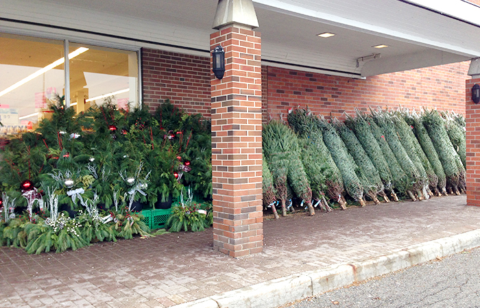 christmas-tree-01