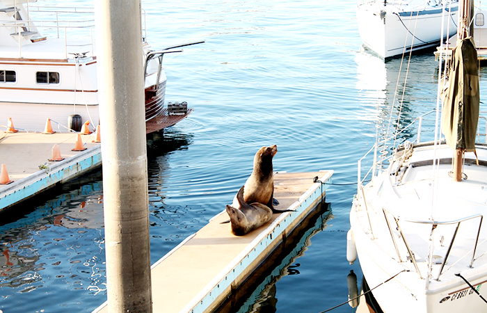 los-angeles-california-05