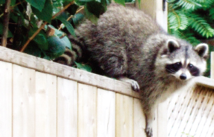 the-group-of-8-26-01