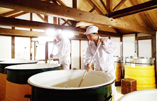 長野県諏訪市にある”真澄”で有名な「宮坂醸造」にて