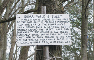 メープルシロップに関しての豆知識