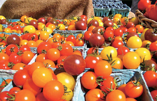オーガニックの新鮮野菜が人気