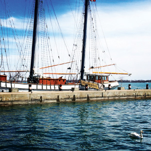 天気がいい日に歩くHarbourfrontこそ、トロントの醍醐味です。