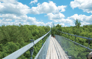 オンタリオ州一長い吊り橋