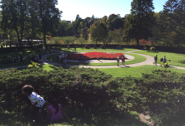 i-went-to-highpark-02