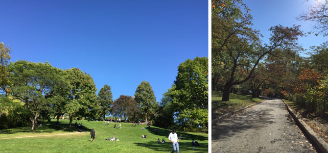i-went-to-highpark-03