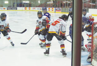 canadian-womens-hockey-league-04