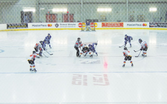 canadian-womens-hockey-league-05