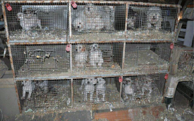 ikebata-nursery-school-55-02