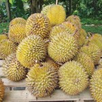 local-dishes-from-the-world-09