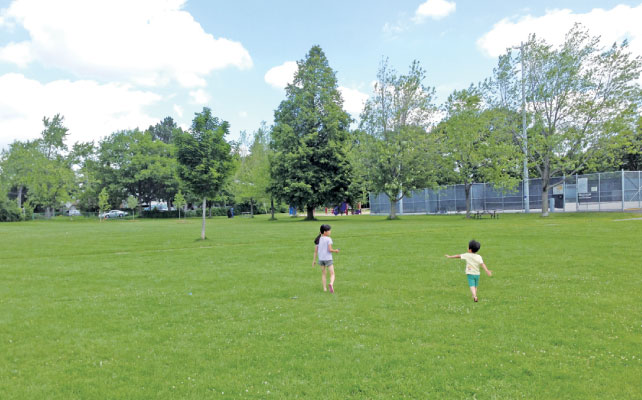 広い公園で子供がのびのび遊べるのはトロントの大きな魅力のひとつ