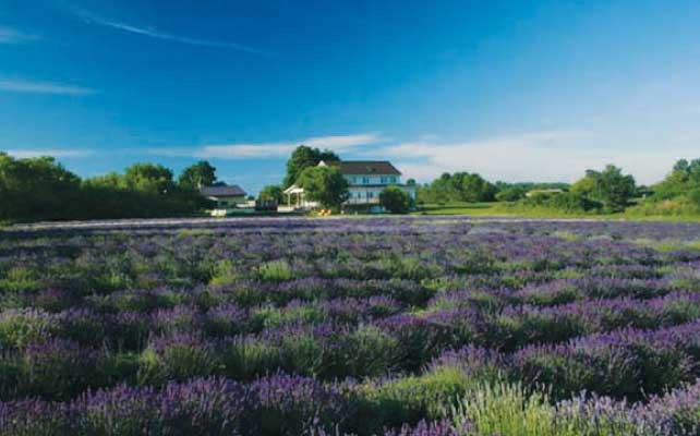 kintetsu-tour-planner-43-01