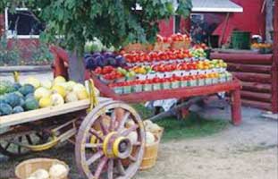 kintetsu-tour-planner-43-04