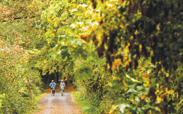 vancouver_scene_activity_19