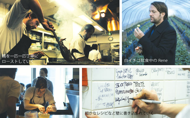 maurice_dekkers_interview01